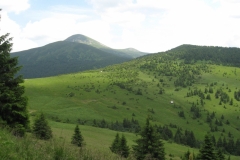 v dálce hora Hoverla